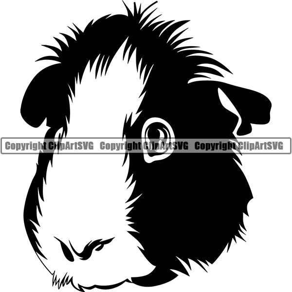 Guinea Pig Animal ClipArt SVG
