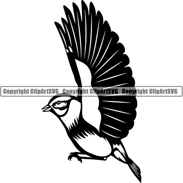 Songbird Animal ClipArt SVG