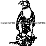 Falcon Bird Predator Animal ClipArt SVG