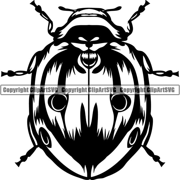 Ladybug Animal ClipArt SVG