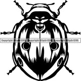 Ladybug Insect Animal ClipArt SVG