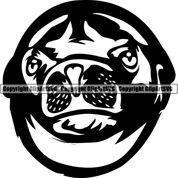 Seal Animal ClipArt SVG
