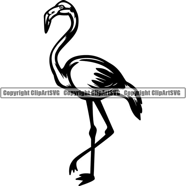 Flamingo Animal ClipArt SVG