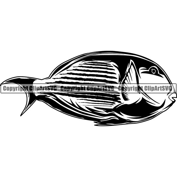 Parrot Animal ClipArt SVG