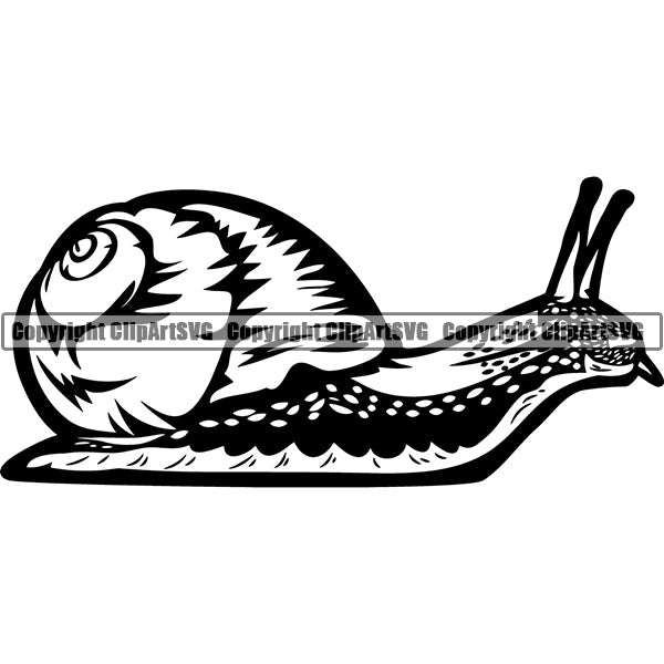 Snail Animal ClipArt SVG