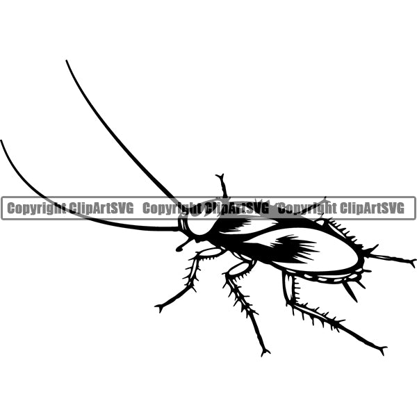 Cockroach 4bnnk ClipArt SVG File