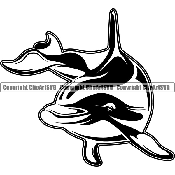 Dolphin Animal ClipArt SVG