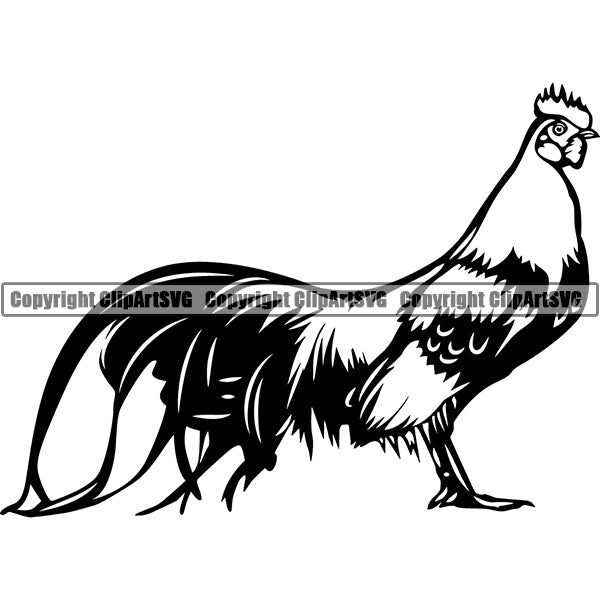 Rooster Animal ClipArt SVG