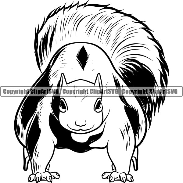 Squirrel Animal ClipArt SVG