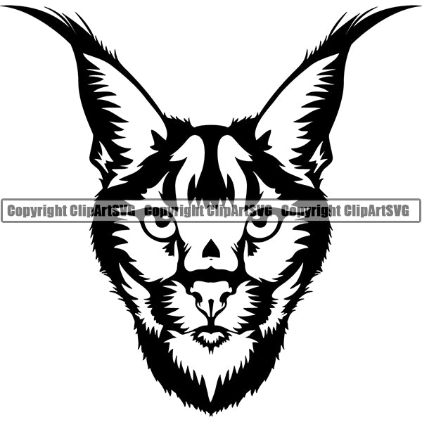 Caracal 5r4d ClipArt SVG File