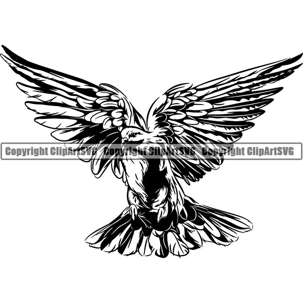 Dove Animal ClipArt SVG