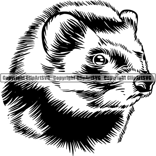 Ferret Animal ClipArt SVG