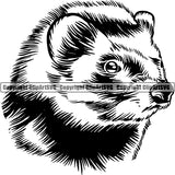 Ferret Animal ClipArt SVG