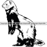 Ferret Animal ClipArt SVG