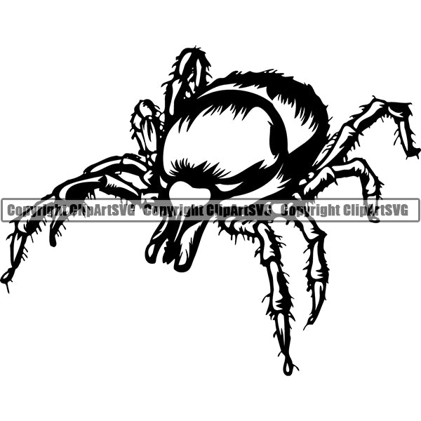 Tick Animal ClipArt SVG
