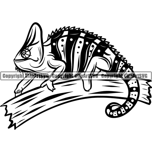 Camaleon 5gyh ClipArt SVG File