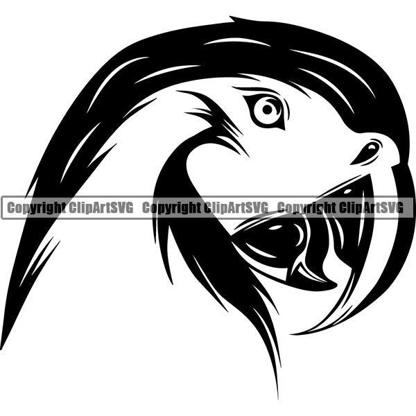 Parrot Animal ClipArt SVG