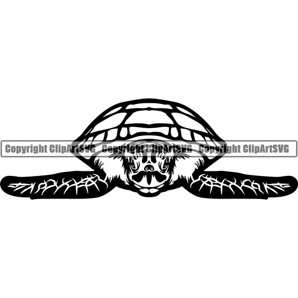 Turtle Animal ClipArt SVG