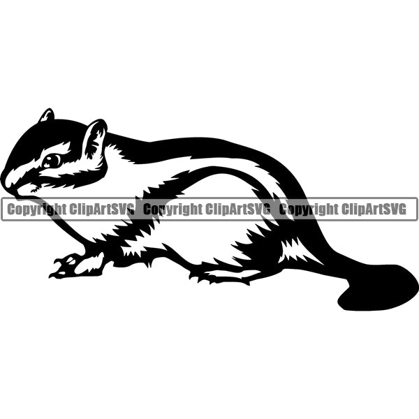 Chipmunk 5tgya ClipArt SVG File