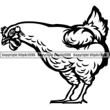 Chicken 4eeds ClipArt SVG File