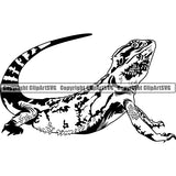 Iguana Animal ClipArt SVG