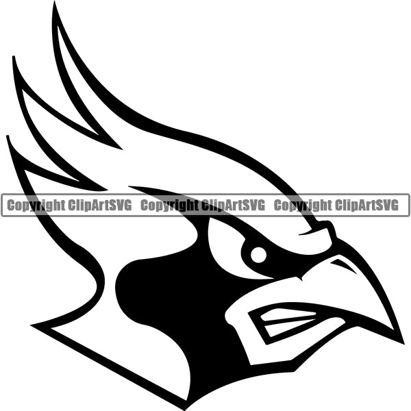 Cardinal vcfg6hac ClipArt SVG File