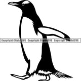 Penguin Animal ClipArt SVG