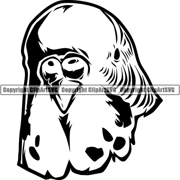 Parakeet Animal ClipArt SVG