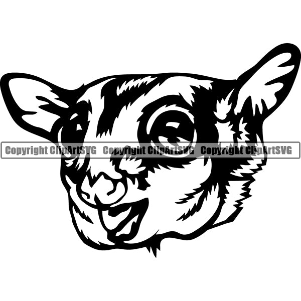 Sugar Glider Animal ClipArt SVG