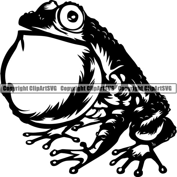 Frog Animal ClipArt SVG