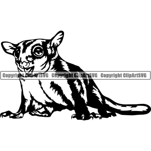 Sugar Glider Animal ClipArt SVG