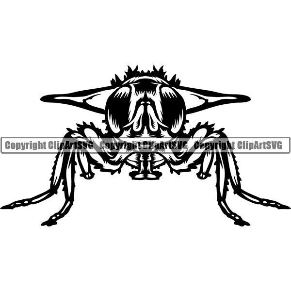 Fly Animal ClipArt SVG