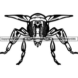 Wasp Animal ClipArt SVG