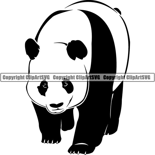 Panda Bear Animal ClipArt SVG