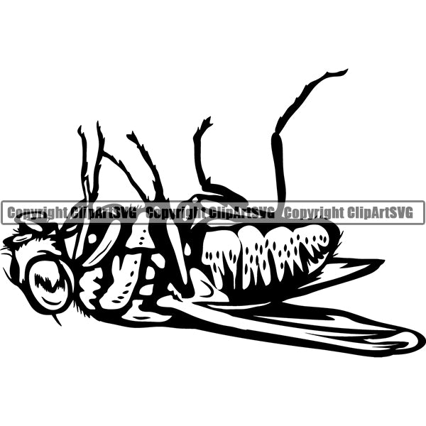 Fly Animal ClipArt SVG