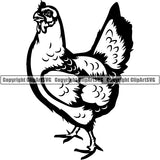 Chicken Bird Farm Livestock Animal ClipArt SVG