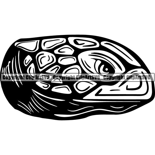 Turtle Sea Animal ClipArt SVG