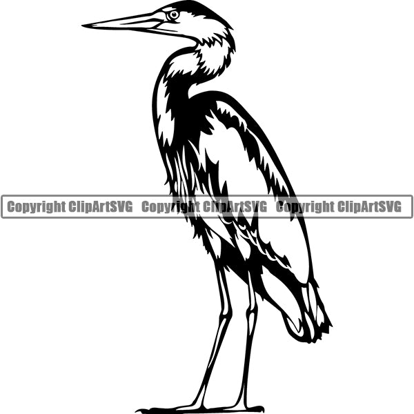 Heron Animal ClipArt SVG