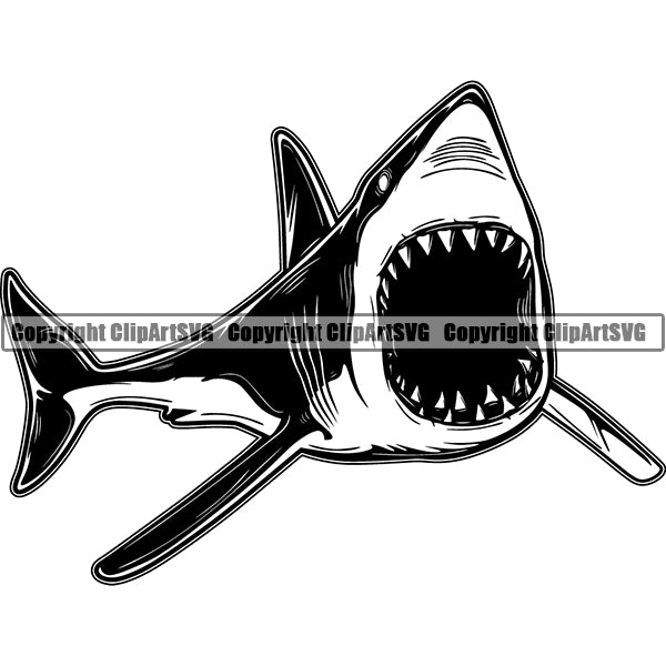 Shark Animal ClipArt SVG