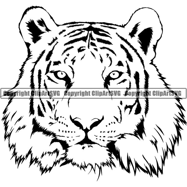 Tiger Animal ClipArt SVG