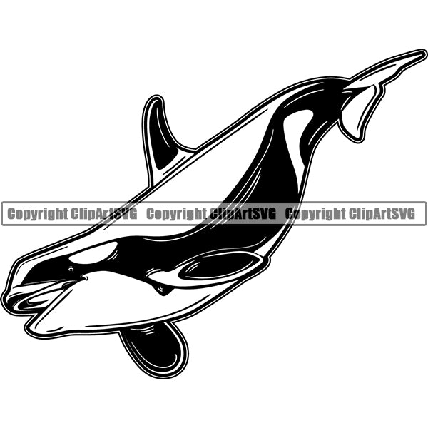 Whale Animal ClipArt SVG