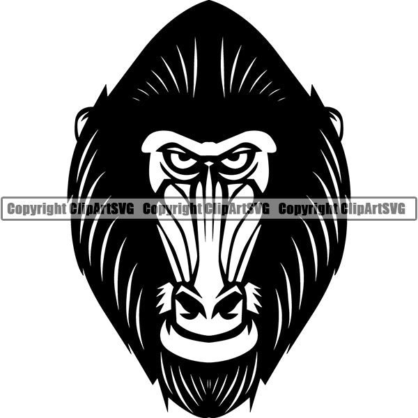 Baboon Animal ClipArt SVG