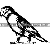 Parakeet Bird Animal ClipArt SVG