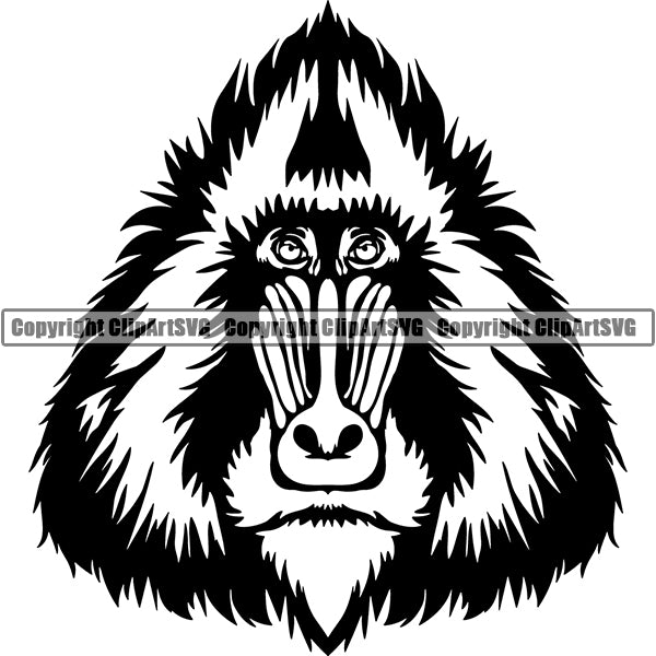 Monkey Animal ClipArt SVG