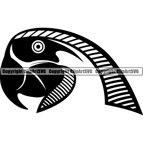 Parrot Fish Animal ClipArt SVG