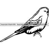 Parakeet Bird Animal ClipArt SVG