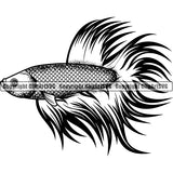 Beta Fish Animal ClipArt SVG