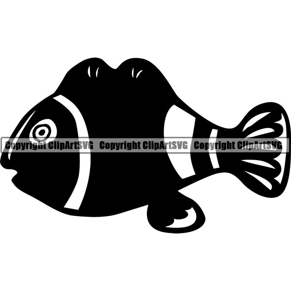 Clownfish scdx ClipArt SVG File