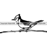 Blue Jay Animal ClipArt SVG