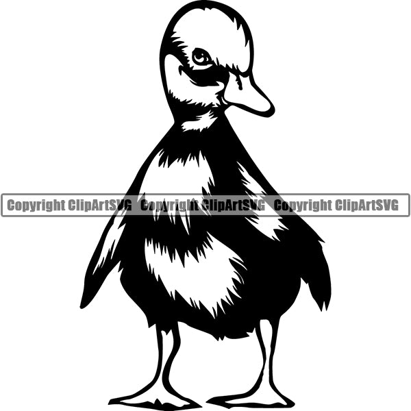 Duck Animal ClipArt SVG